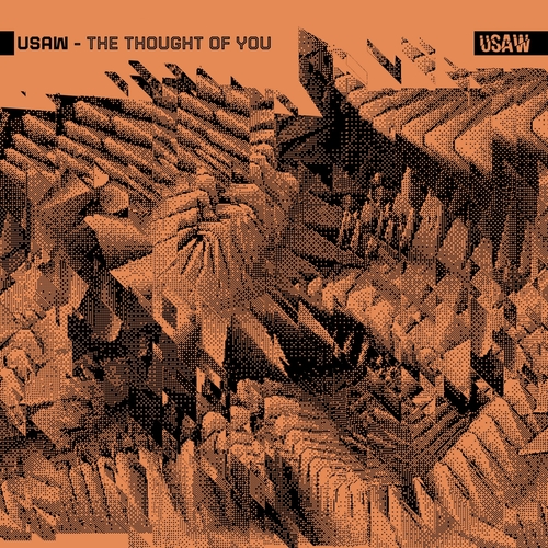 USAW - The Thought Of You